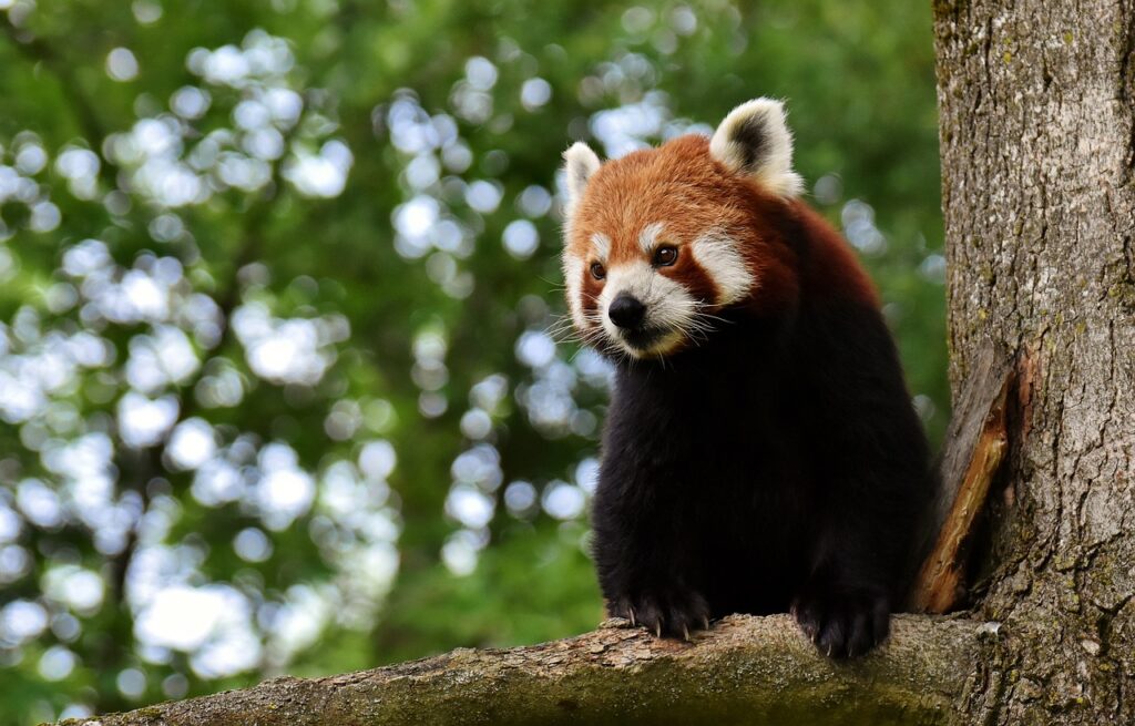 Zrušení výletu do ZOO