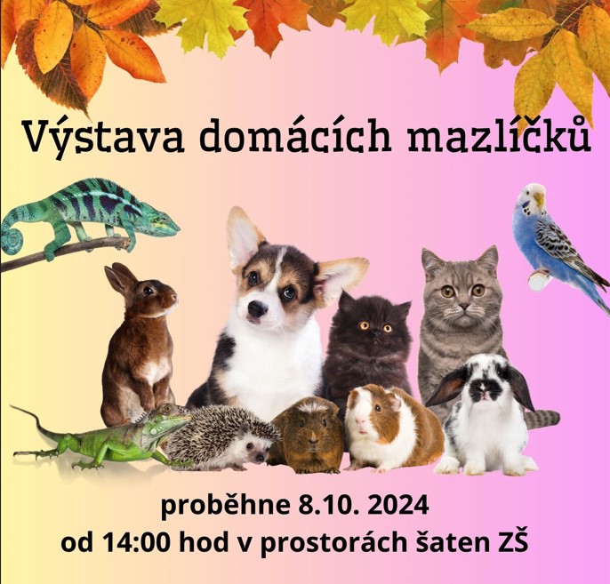 Výstava domácích mazlíčků